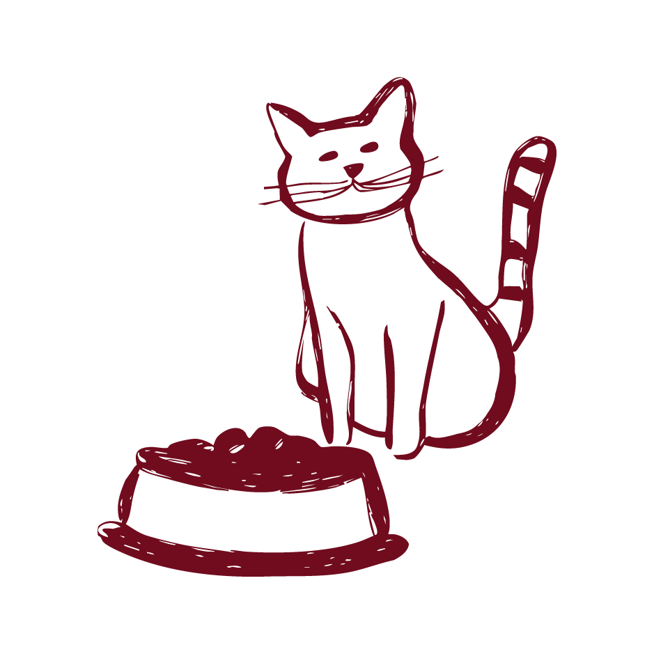 Moores Assets Dark Cat Icon 1