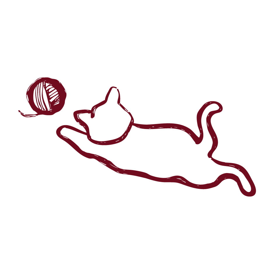 Moores Assets Dark Cat Icon 2