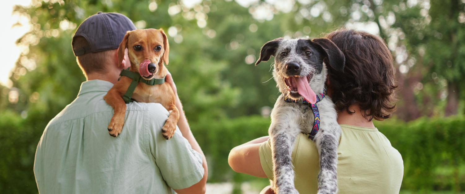 Two Dogs Two Humans 1500